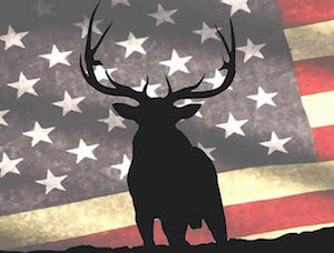 Elks elk image